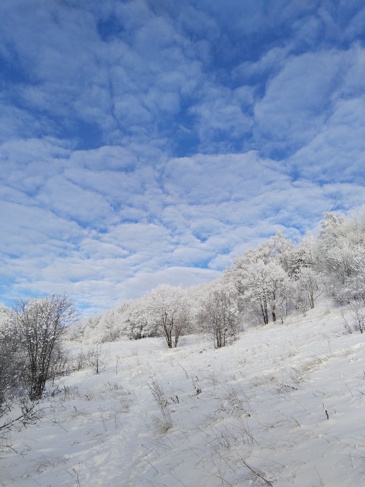 Photograph by Ольга Чернова