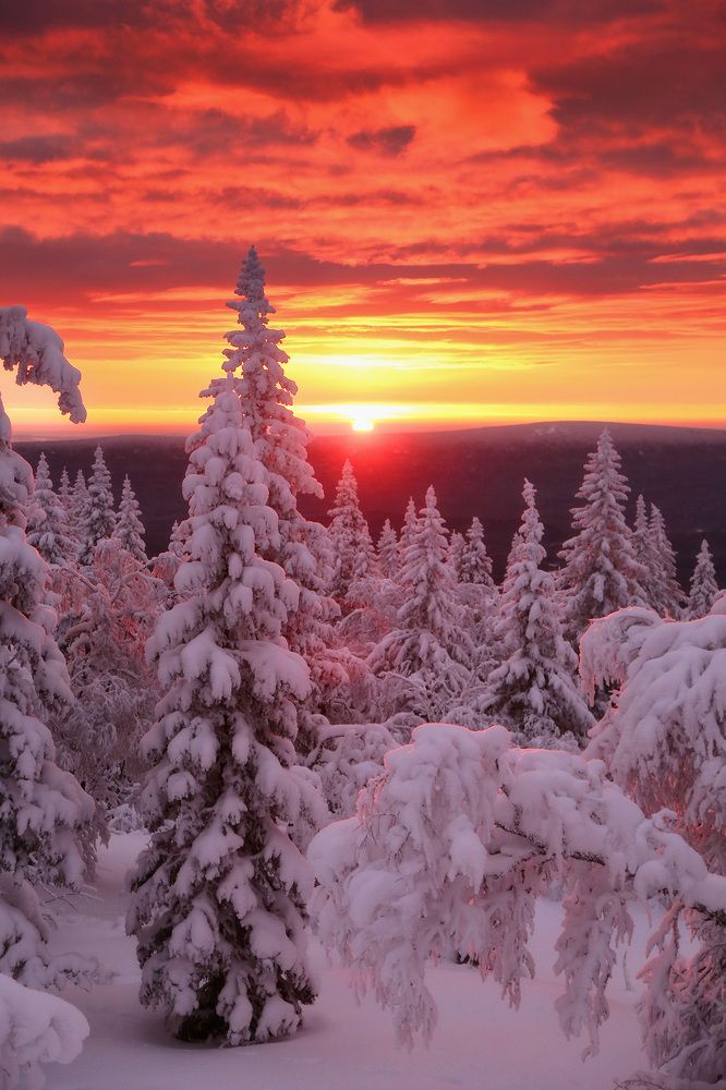 Photograph by Сергей Гарифуллин