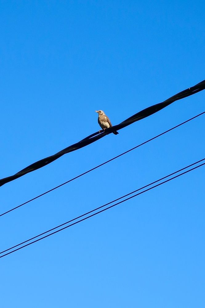 Photograph by Надежда Ткаченко
