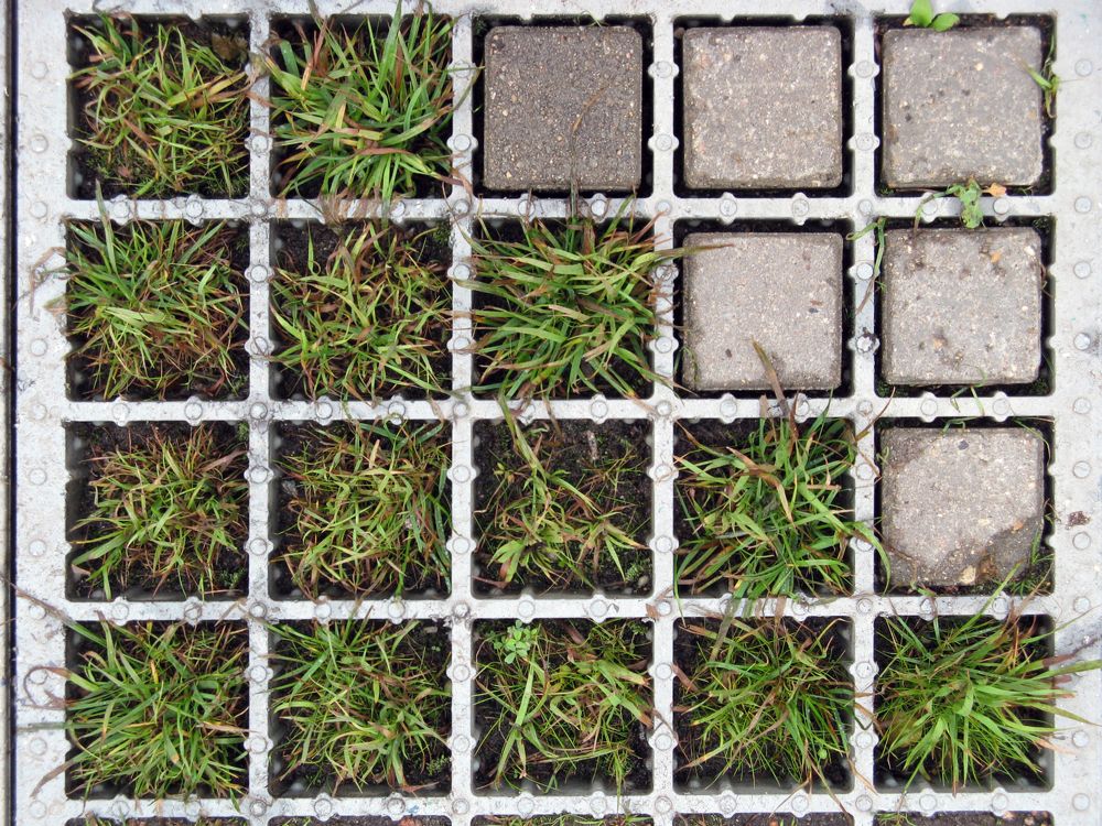 Photograph by Андрей Осмоловский