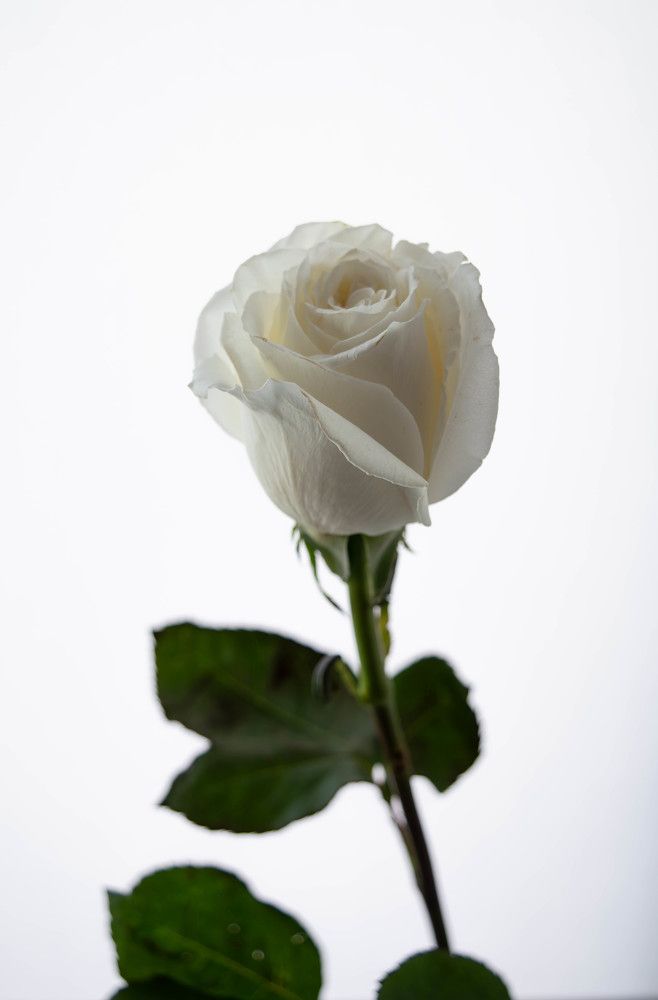 Photograph by Наталья Поспелова