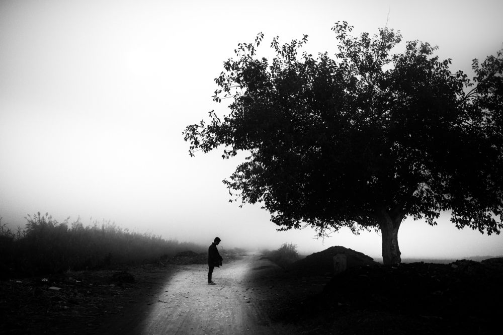 Photograph by Eslam Eslamsamy