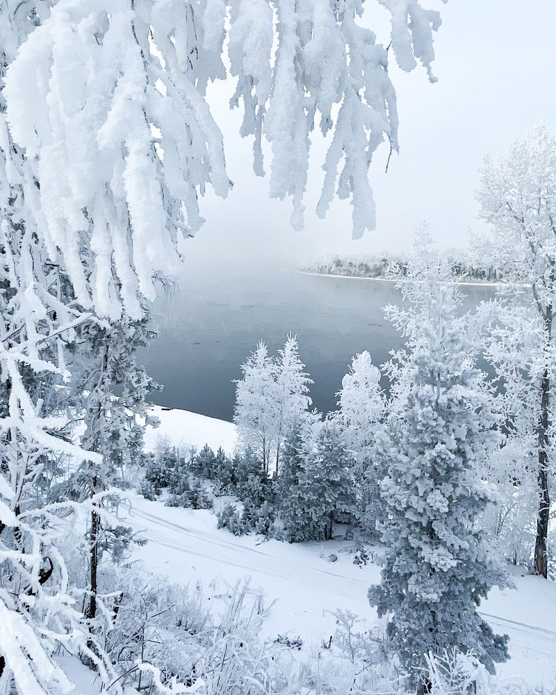 Зимний пейзаж