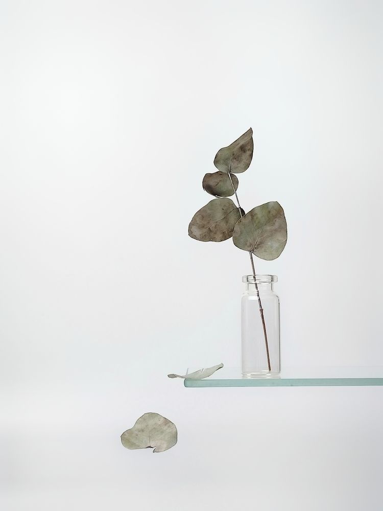 Фотография автора Татьяна Шахова