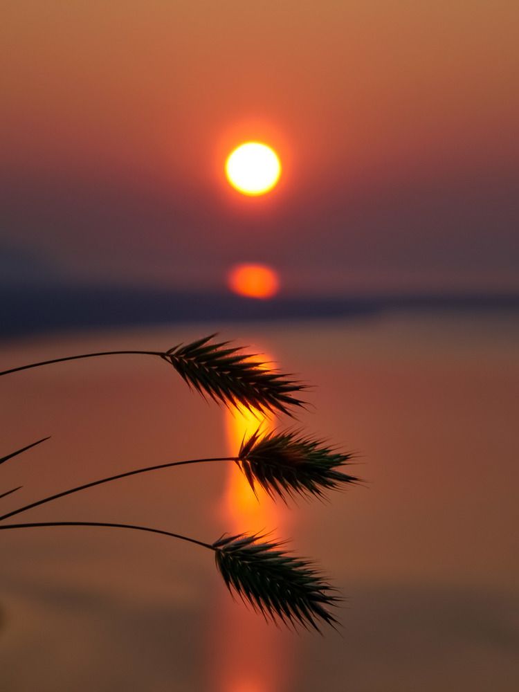 Photograph by Виктория Лобанова