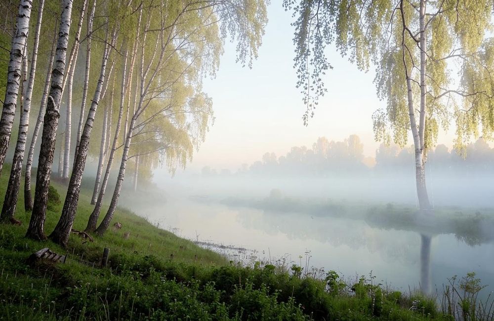 Фотография автора Роман Савоцкий
