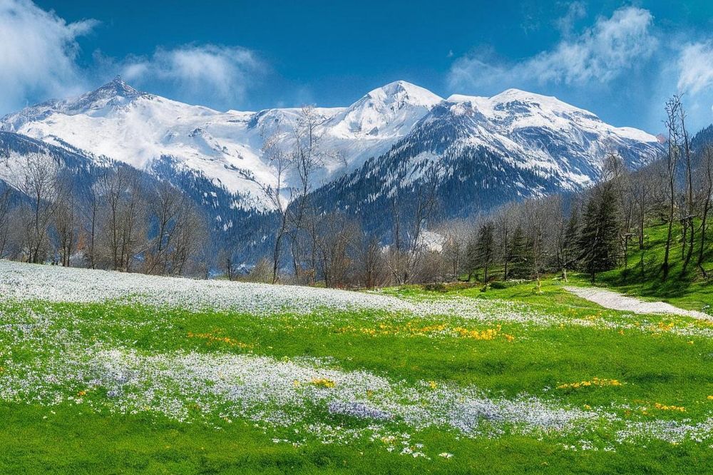 Фотография автора Роман Савоцкий