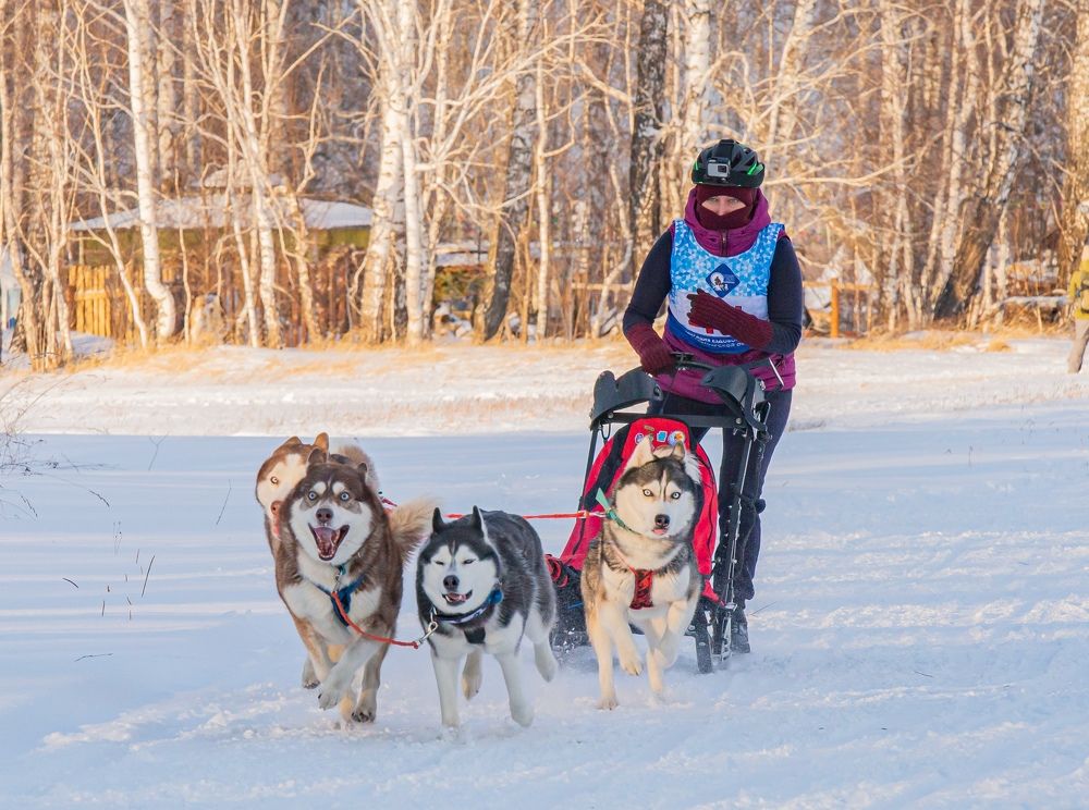 Photograph by Елена Павлова