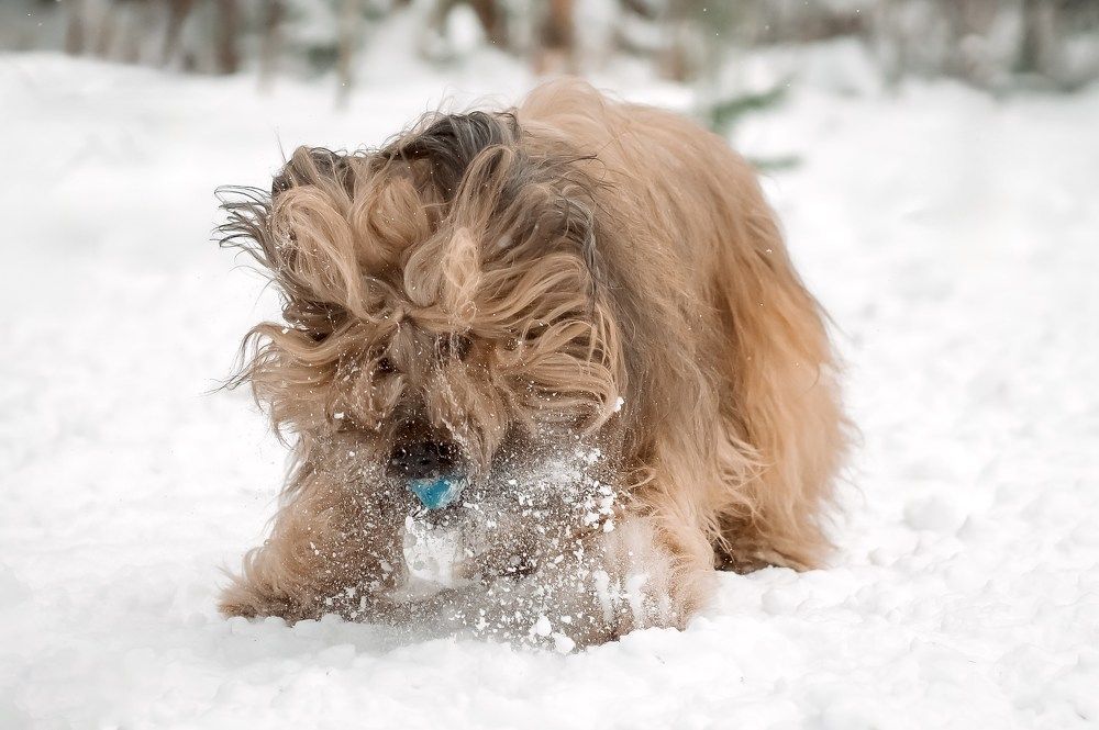 Photograph by Марина Суздаль