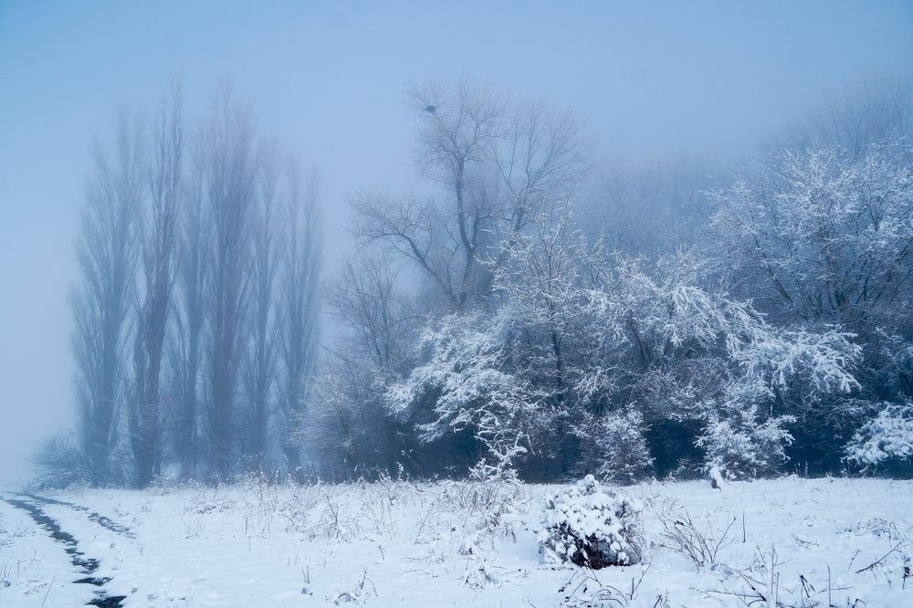 Фотография автора Вадим Коваленко