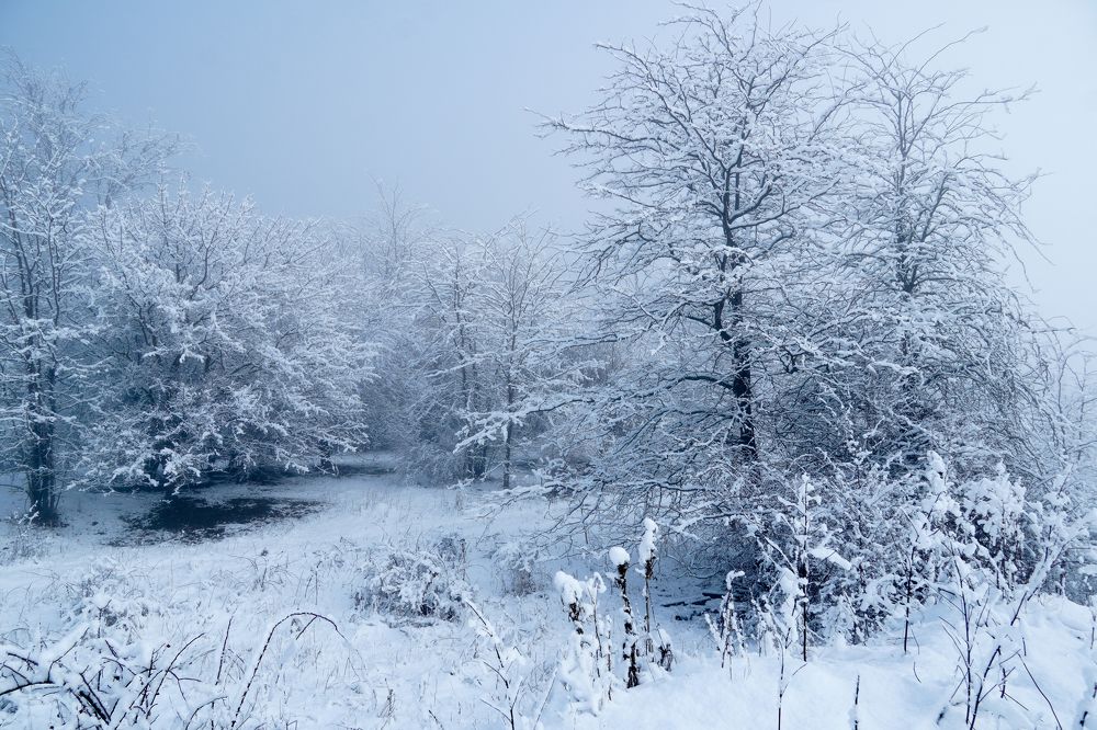 Фотография автора Вадим Коваленко