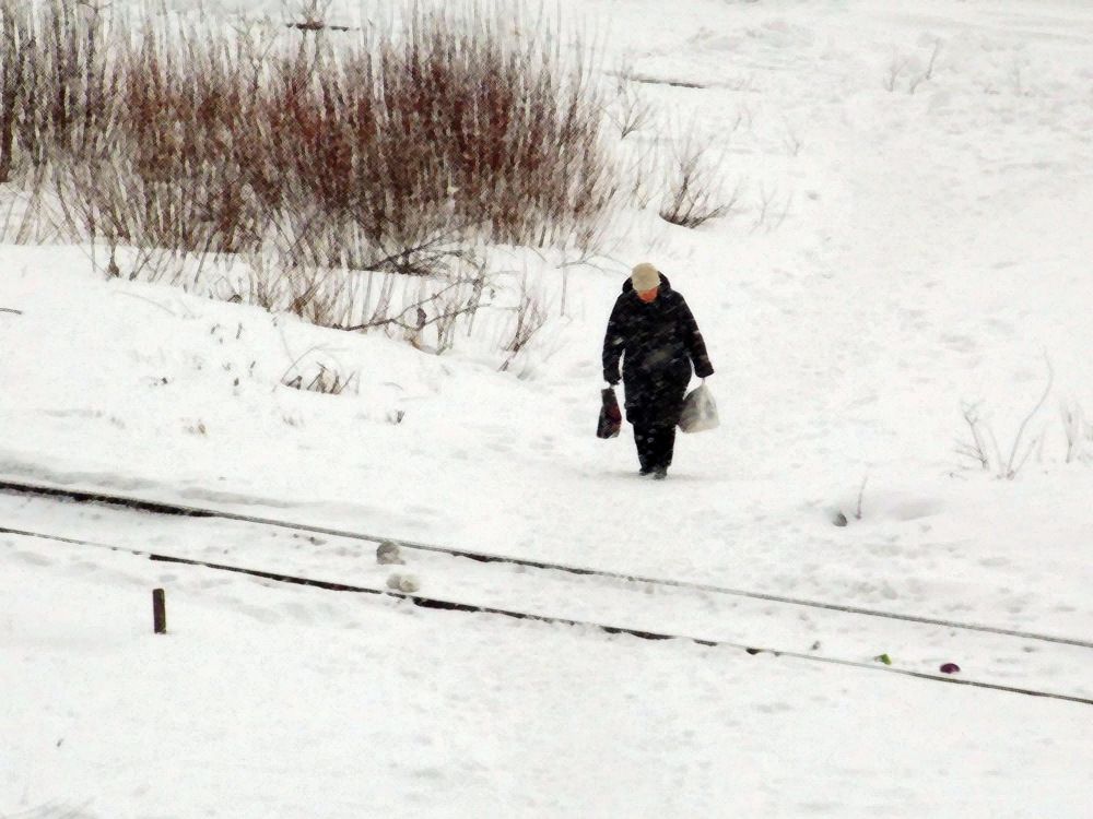 Фотография автора Вера,  Саша  Натан Фотогруппа ВЕСНА