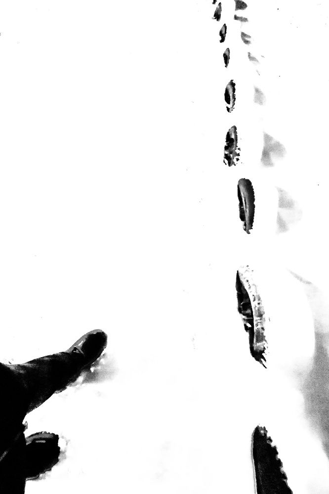 Фотография автора Екатерина Першина