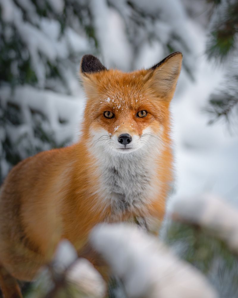 Photograph by Сергей Егоров