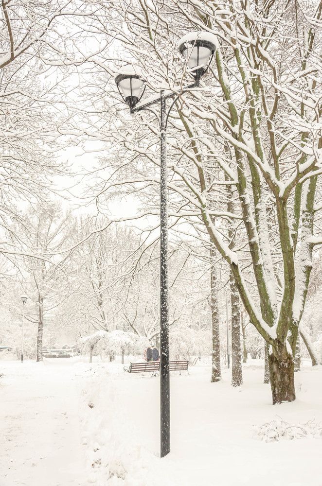 Photograph by Irina Rudneva