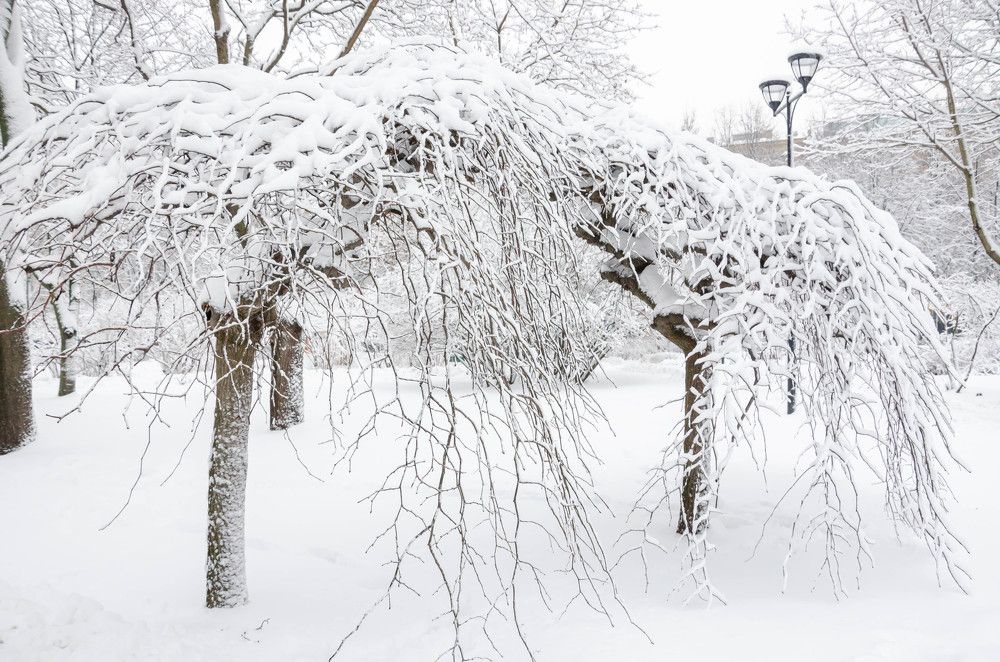 Photograph by Irina Rudneva