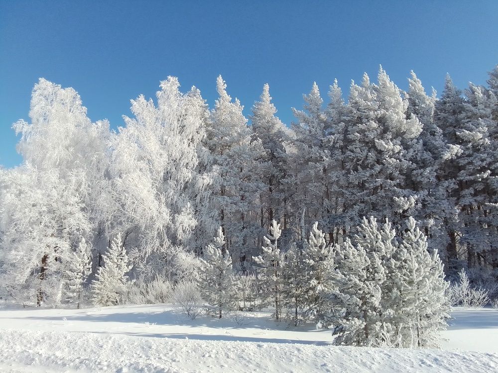 Зимние краски.