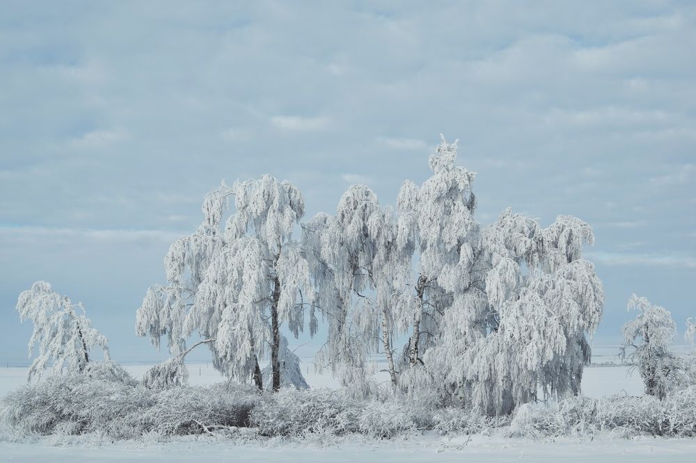 Photograph by Мария Зайцева