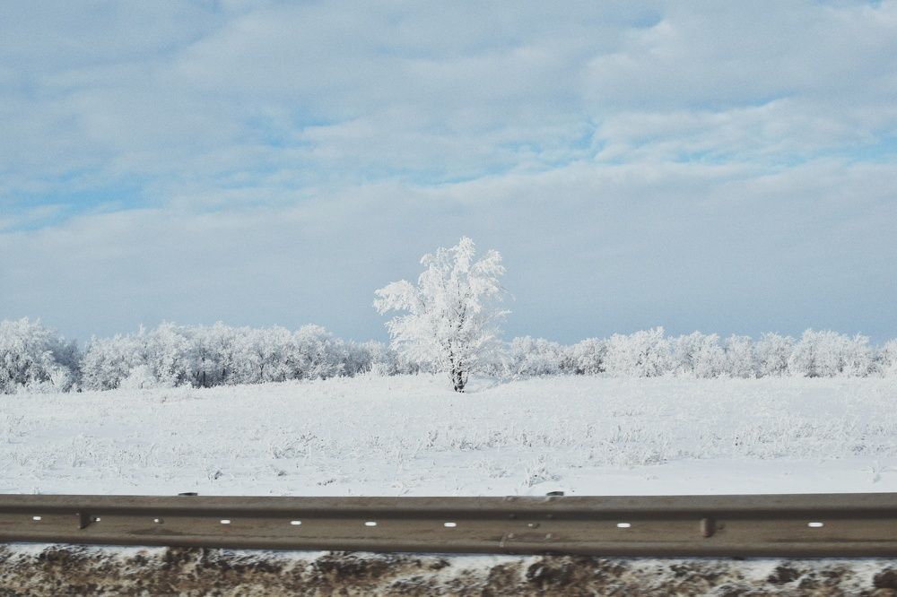 Photograph by Мария Зайцева