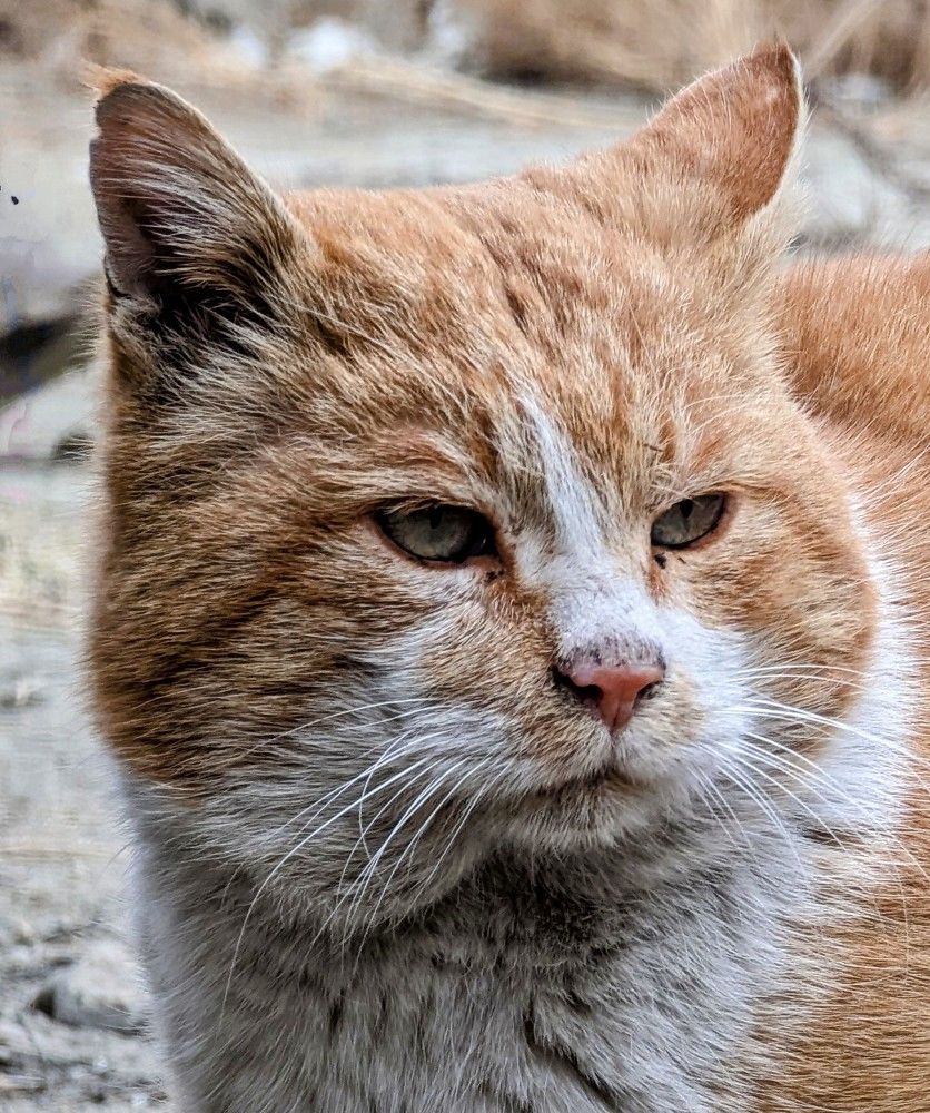 Photograph by Ishaq Karim