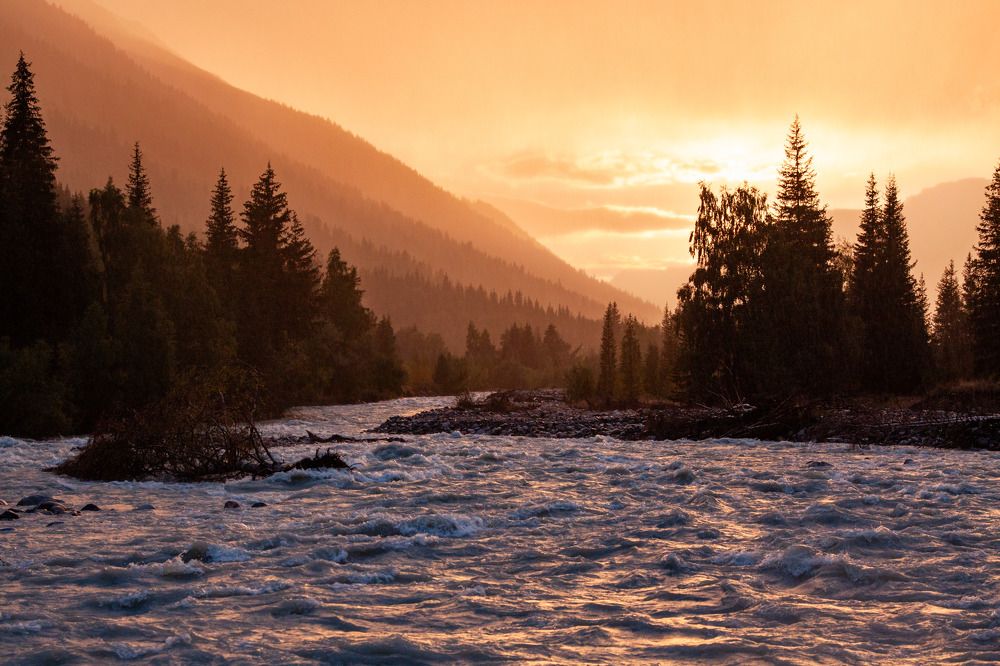 Фотография автора Andrey Shishkalov