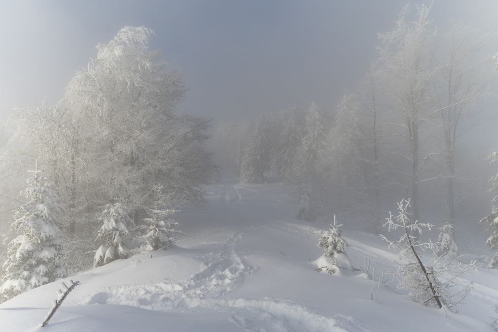 Photograph by George Alexandru Ghiuro