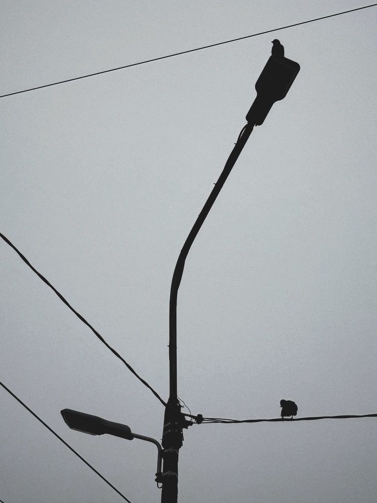 Фотография автора Дарья Викторова