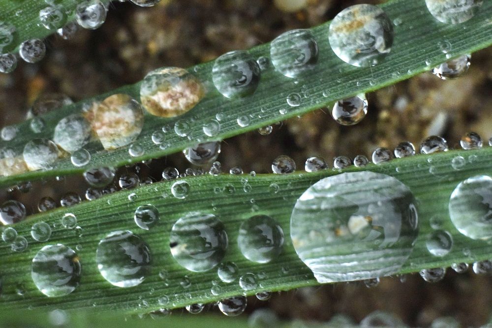 Photograph by Марина Крюкова