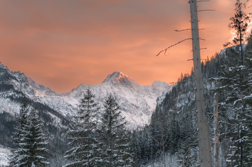 Photograph by Алексей Цецохо