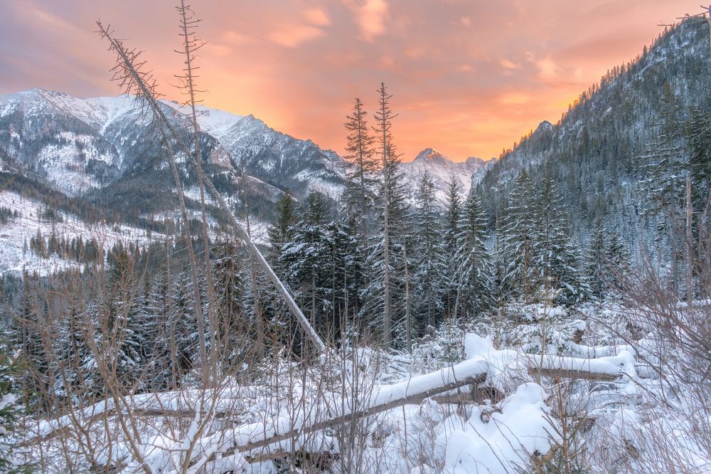 Photograph by Алексей Цецохо