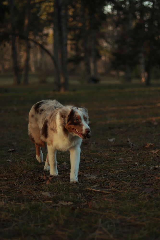 Photograph by Анастасия Слободская