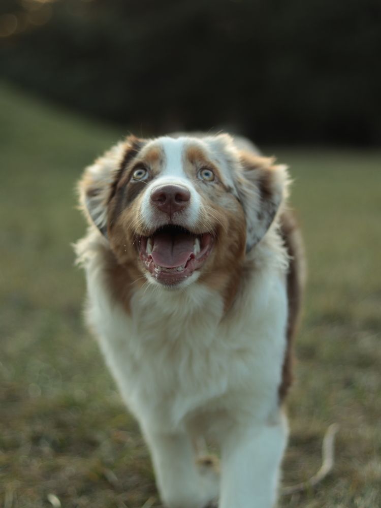 Photograph by Анастасия Слободская