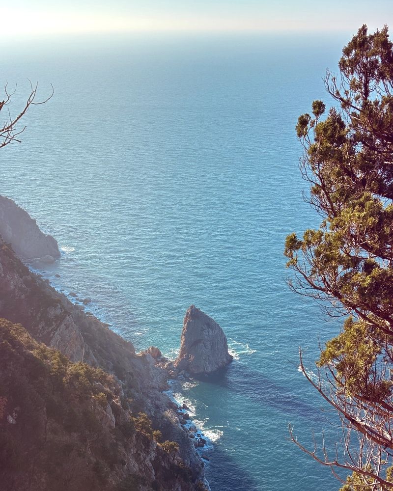 Photograph by Козинец Александр