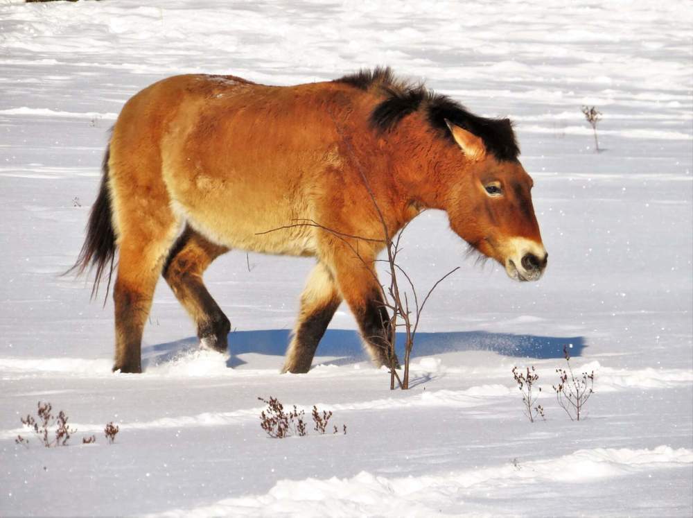 Photograph by Ольга Митрофанова
