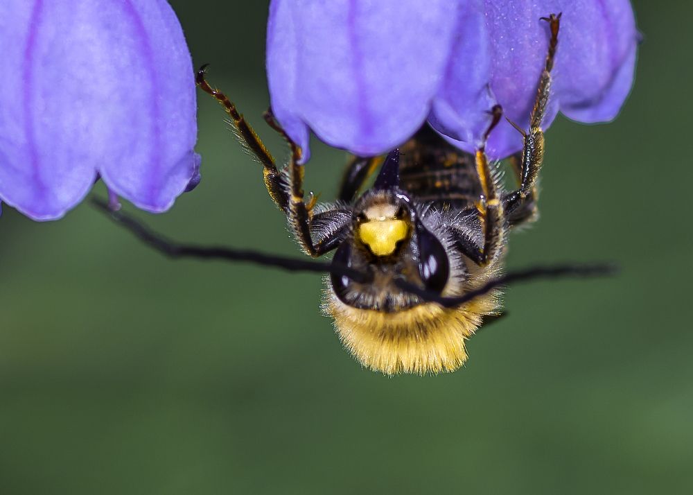 Photograph by Victor Stepanov