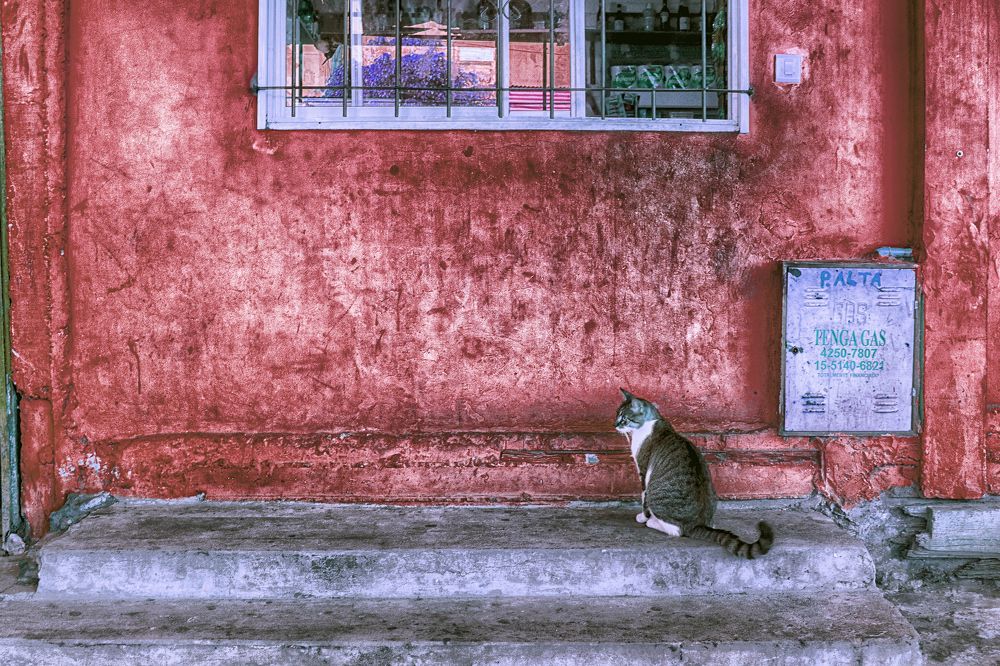 Photograph by Viviana García