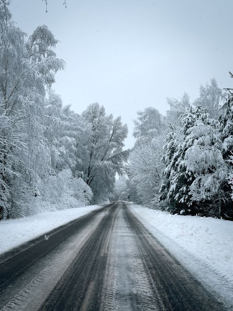 Фотография автора Геннадий Ломеко
