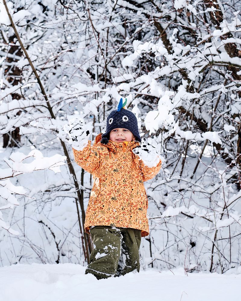 Фотография автора Владимир Эделев