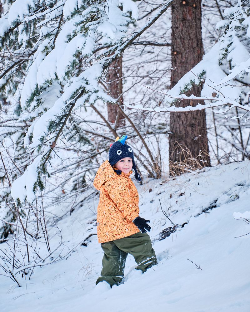 Фотография автора Владимир Эделев