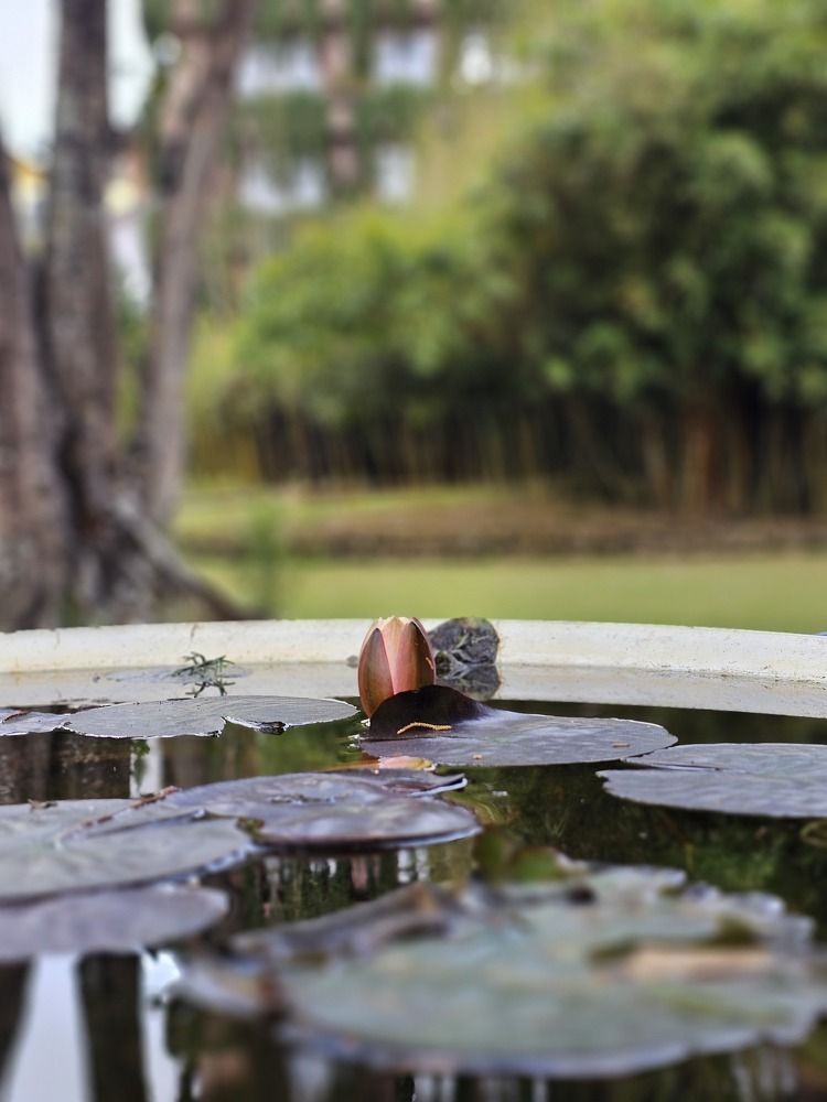 Фотография автора Дмитрий Ершов