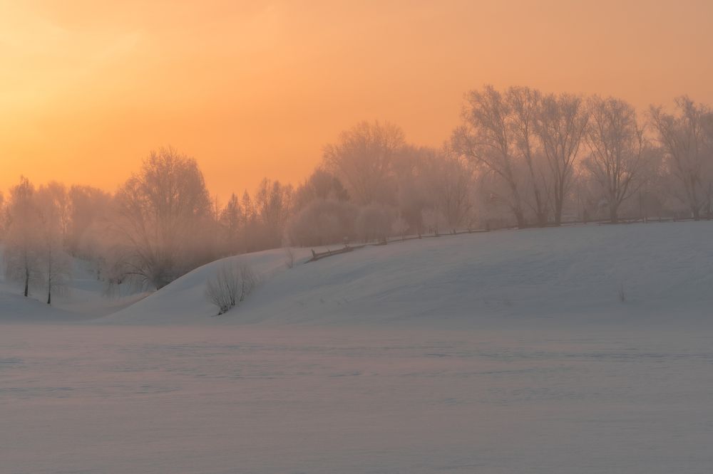Фотография автора Константин Григорьев