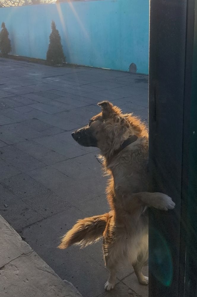 Фотография автора Марина Новикова