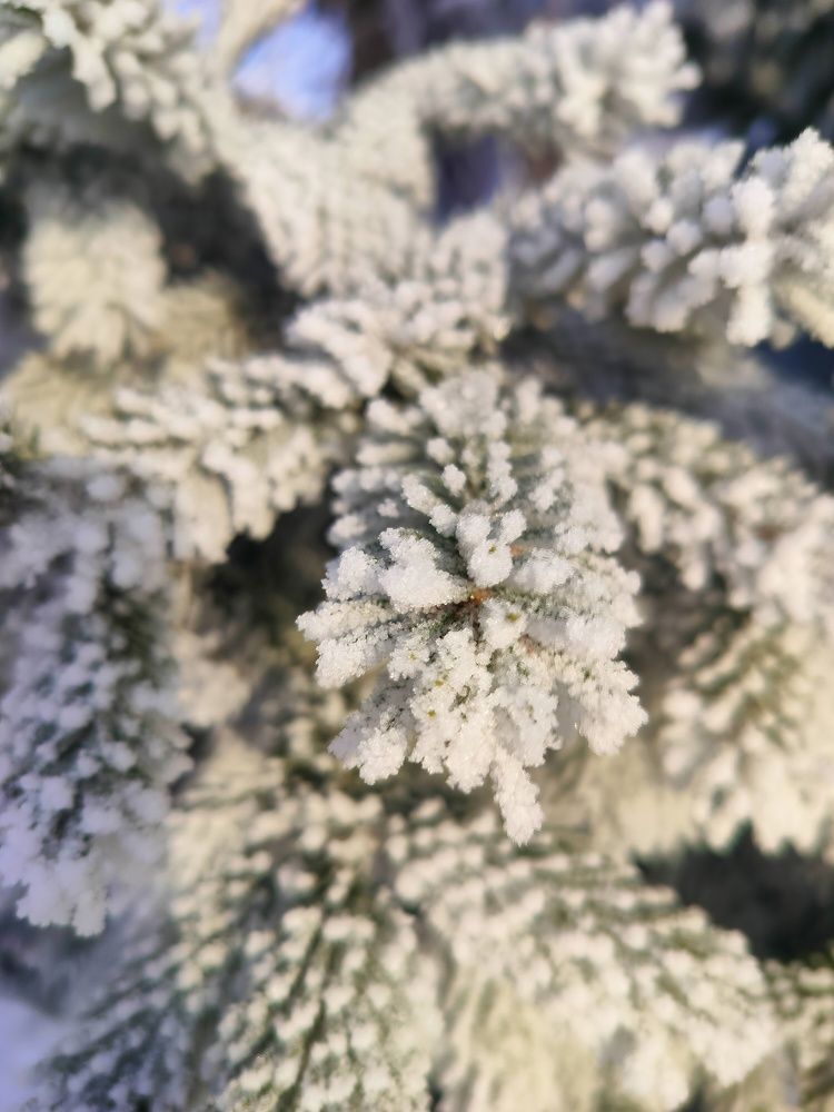 Фотография автора Екатерина Косарева