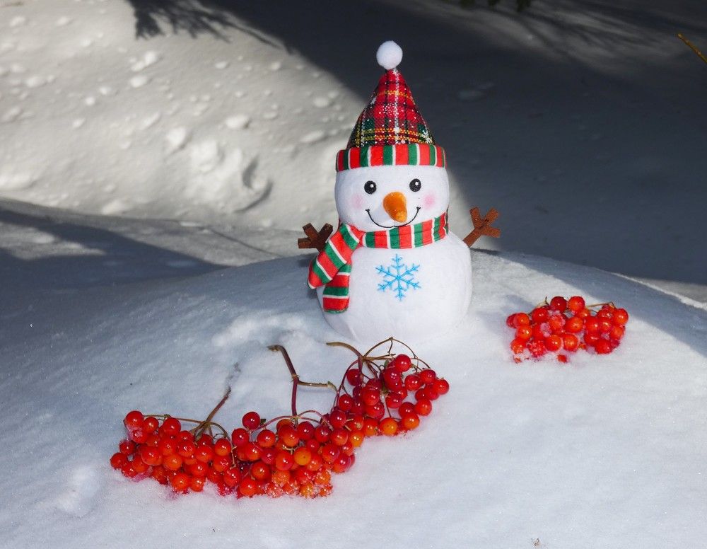 Photograph by Ольга Митрофанова