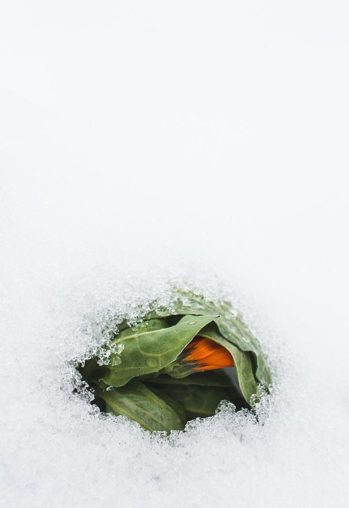 Photograph by Михаил Кудрин