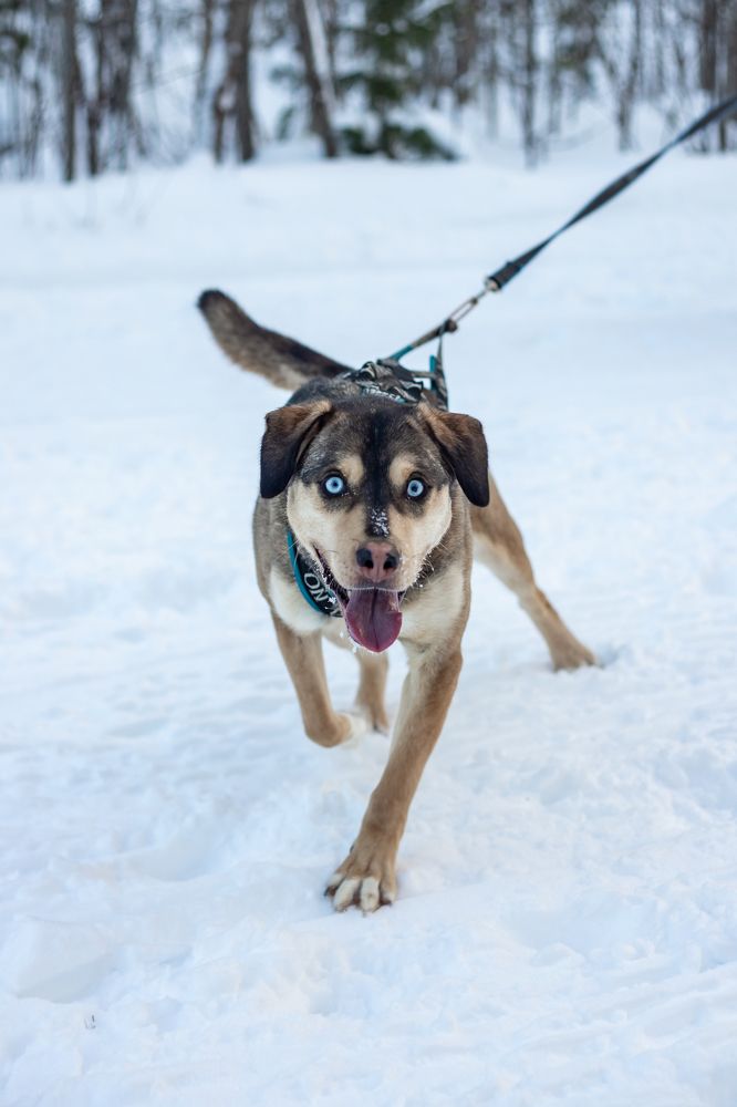 Photograph by Алёна Лозовая