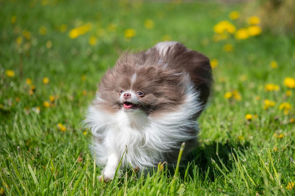 Photograph by Иван Грачев