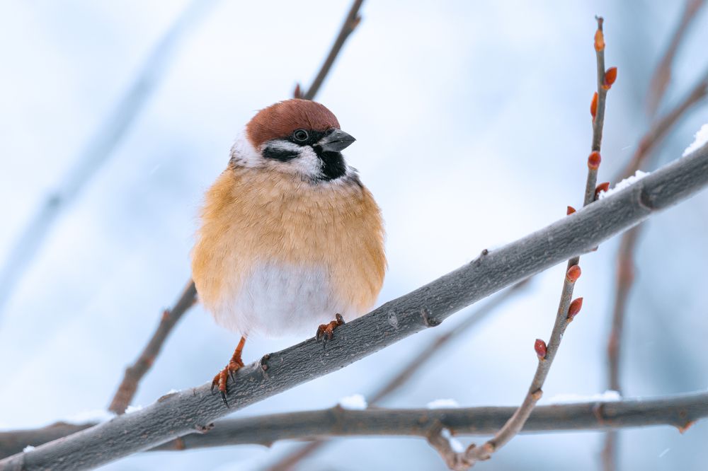 Photograph by Damian Kozik