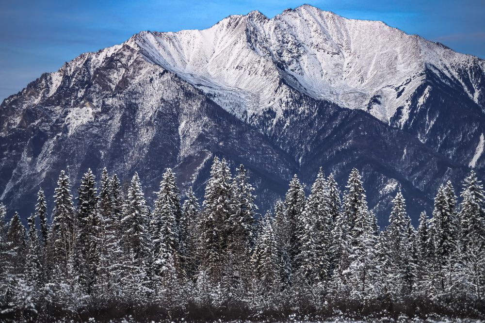 Photograph by Анастасия Сахаревич