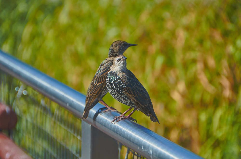 Фотография автора Сергей Королёв